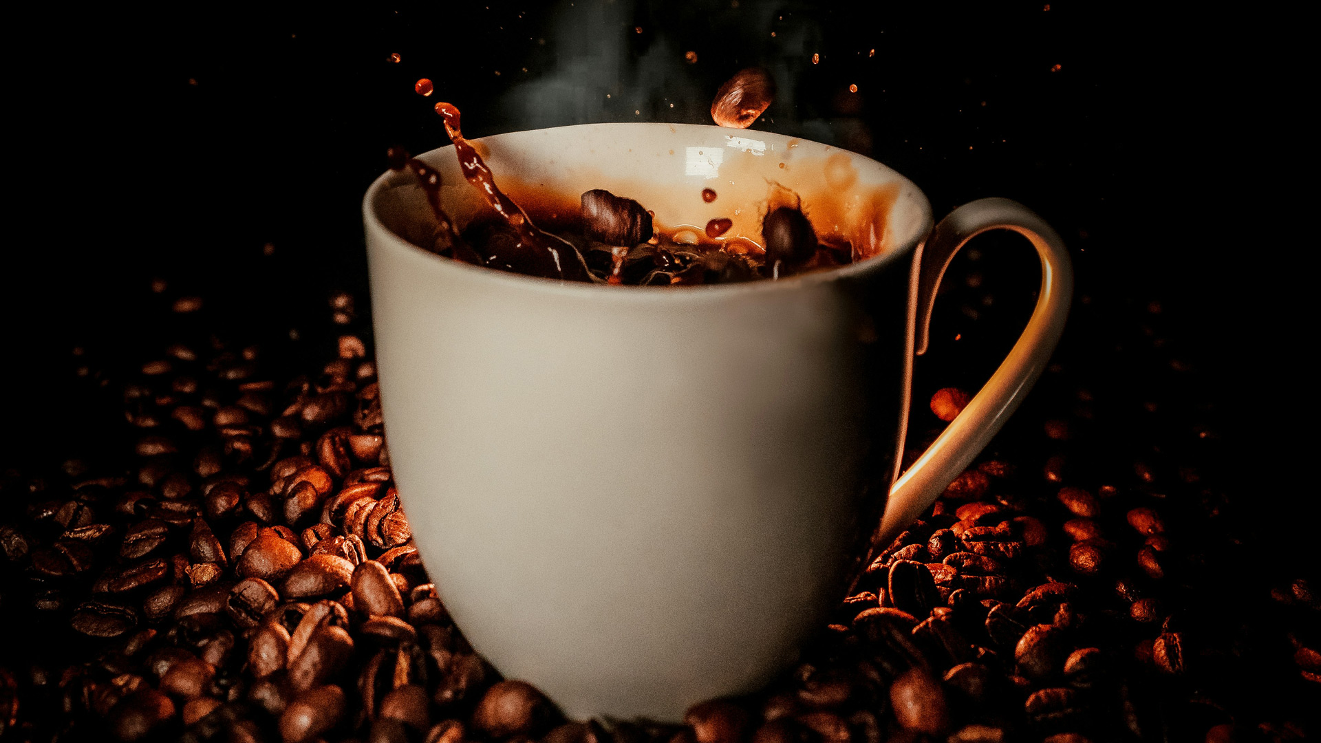 Kaffee: Von der Bohne zur Tasse – Aroma & Nachhaltigkeit
